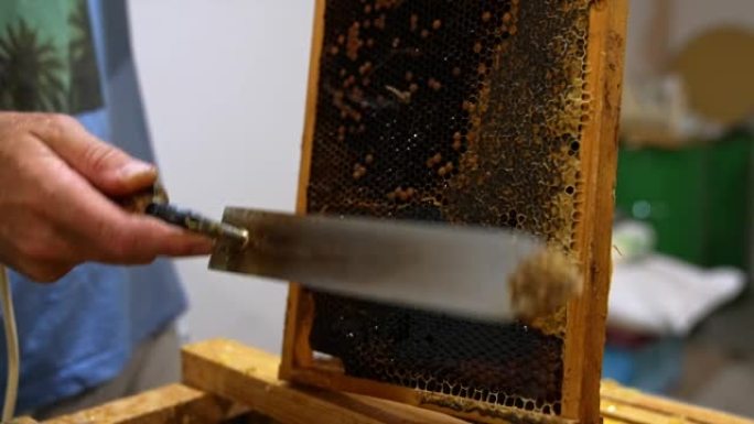 电刀切割蜂窝顶部的蜡。养蜂人用蜂蜜发现细胞以提取有机产品。特写。