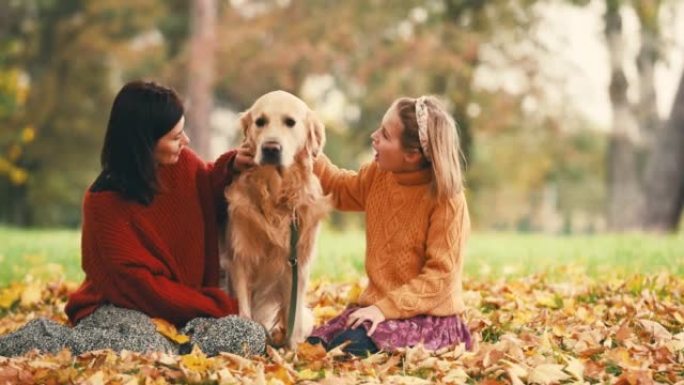母女俩在秋季公园与金色rertriever狗玩得开心