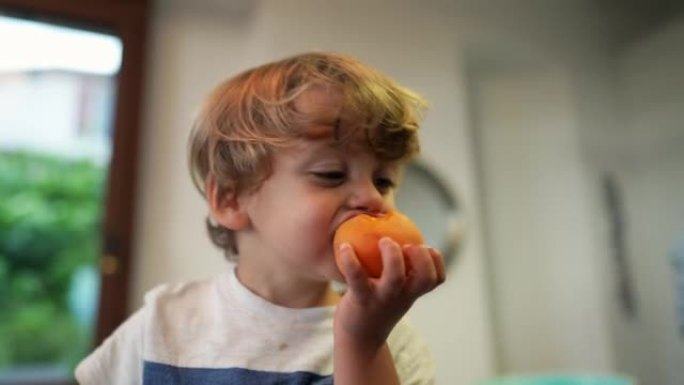 一个小男孩吃杏果。描绘儿童在室内吃健康零食