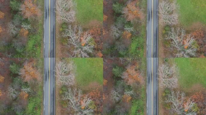 纽约歌珊被秋树包围的道路鸟瞰图