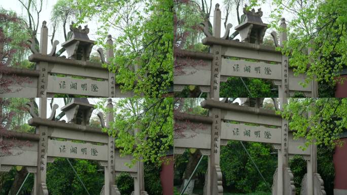 杭州钱王祠春季清明节雨天古建筑自然唯美