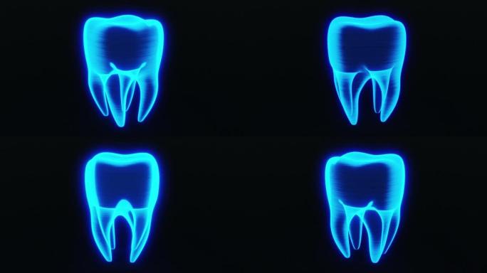 蓝色平视显示器牙齿扫描的无缝循环，并在黑色背景上旋转。技术和医学概念。