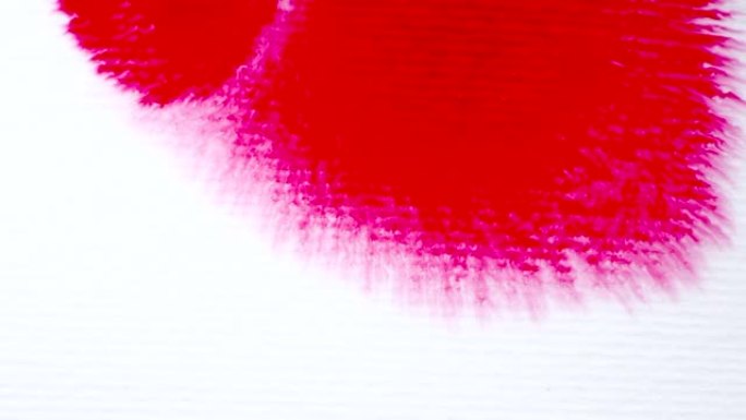 在白色背景上飞溅红色油漆液滴