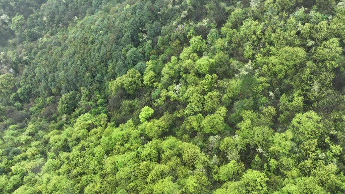 烟雨云雾缥缈的大山