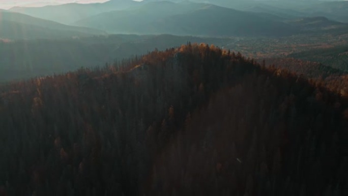 空中壮丽的喀尔巴阡山脉上的针叶林和美丽的蓝天背景。野生原始乌克兰自然之美。和平