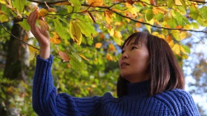 在公园享受秋天的女人。