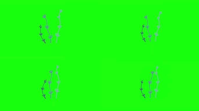 绿色背景上蓝藻的4k垂直视频。