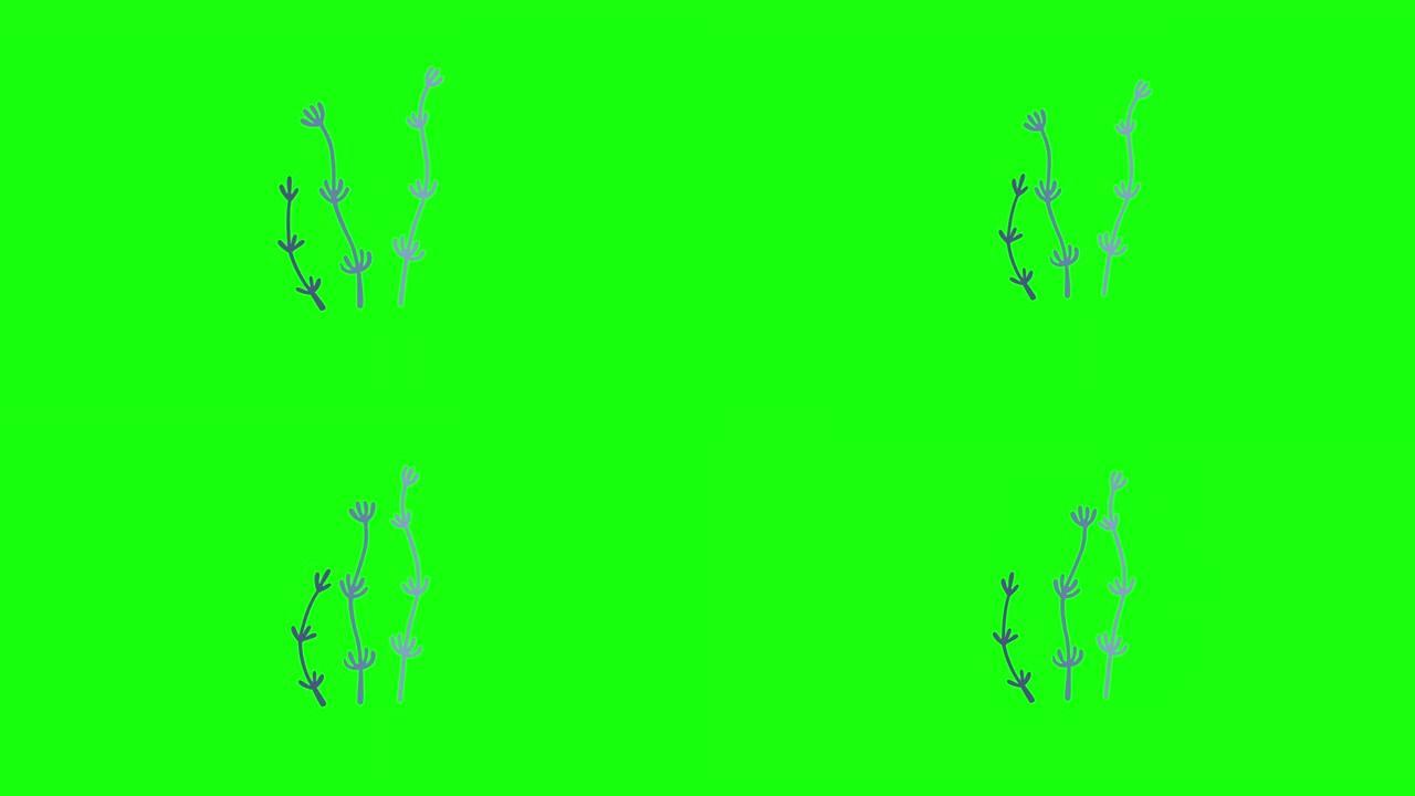 绿色背景上蓝藻的4k垂直视频。