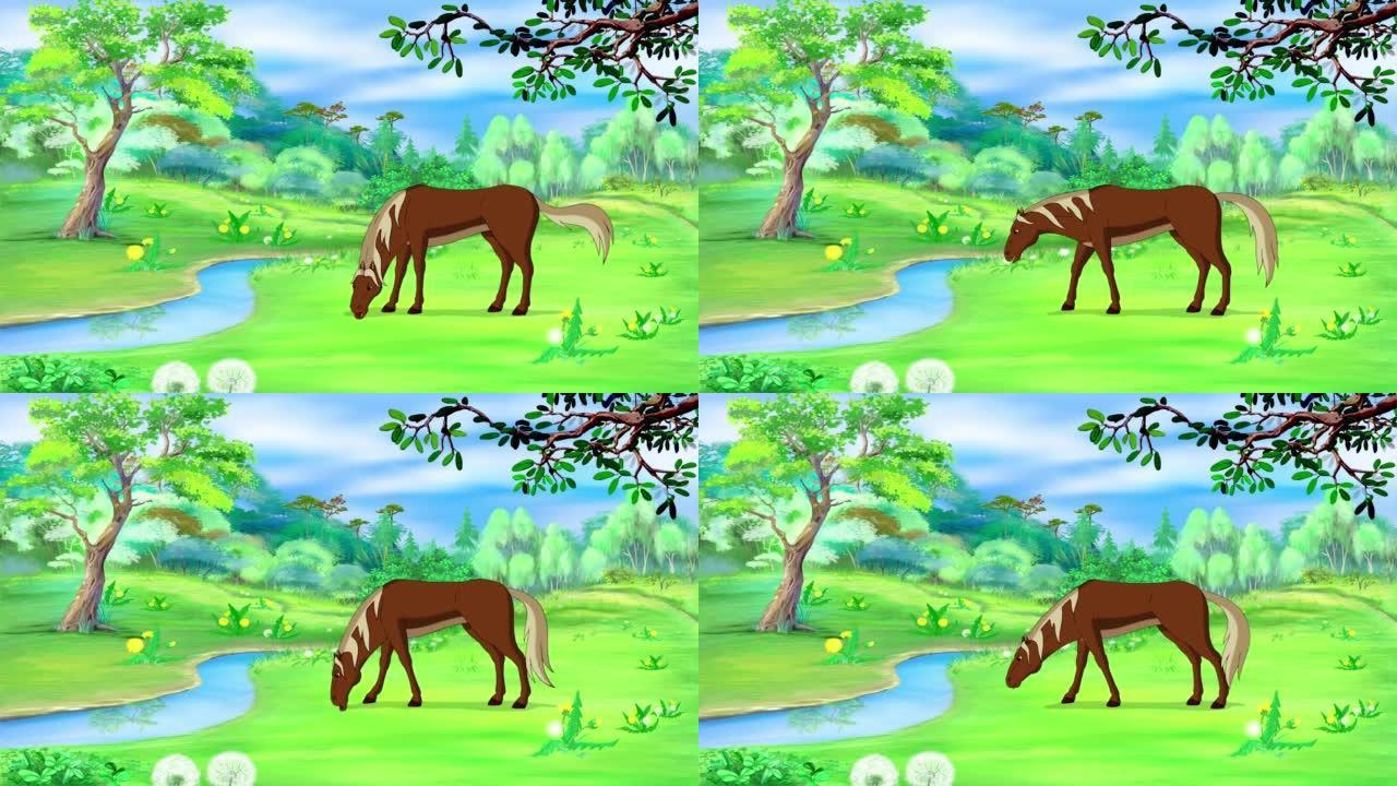 棕色马在草地上放牧4K
