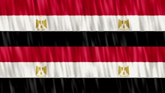 埃及国旗。无缝循环动画特写挥手。