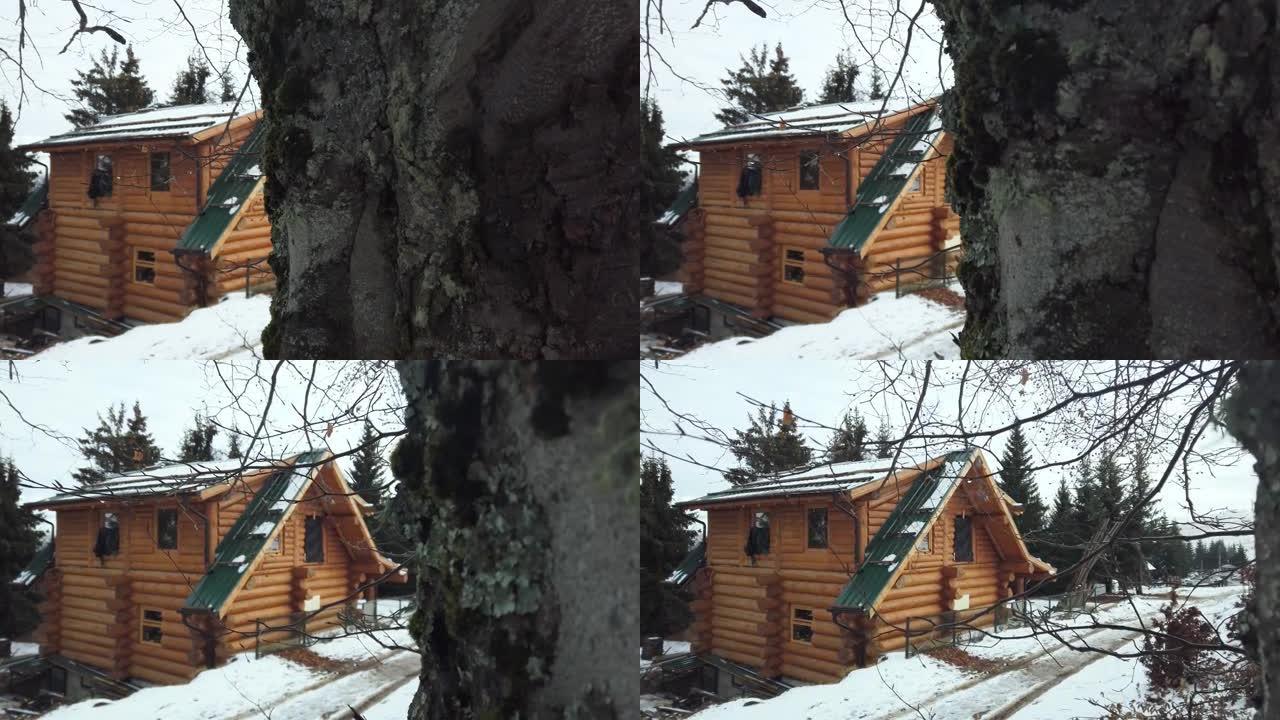 精彩的冬季风景，有雪和木小屋小屋的家