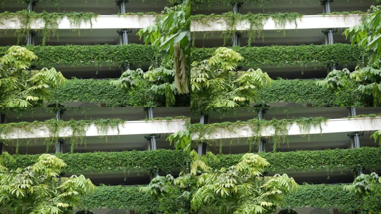 立面上生长着植物的建筑