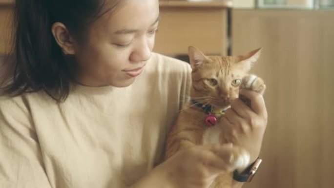 亚洲妇女在新家中与虎斑猫嬉戏跳舞。收养流浪猫的概念要有一个爱并能照顾他们的新主人。