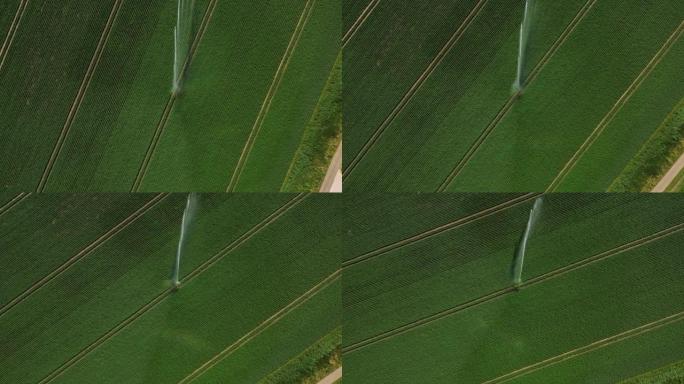 荷兰农田灌溉的航拍画面。