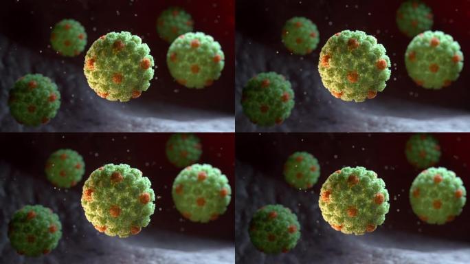 人乳头瘤病毒HPV