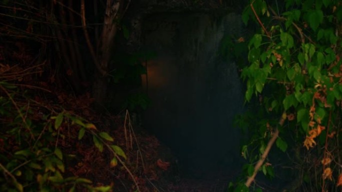 浓烟穿过入口，进入森林深处一个失落的旧掩体