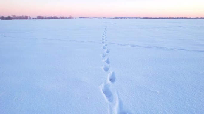 白雪上人类脚步声的脚印