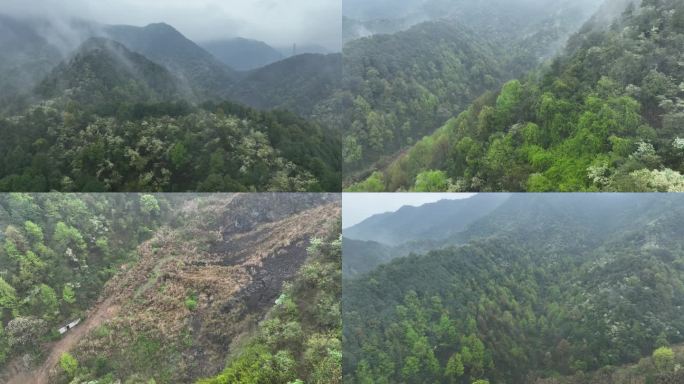 烟雨云雾缥缈的大山