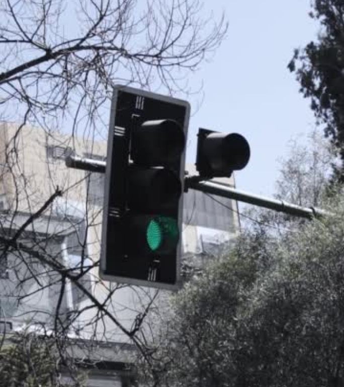 交通灯变绿的垂直视图