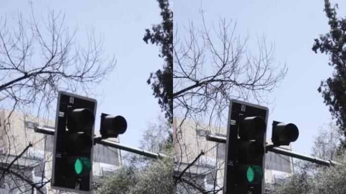 交通灯变绿的垂直视图