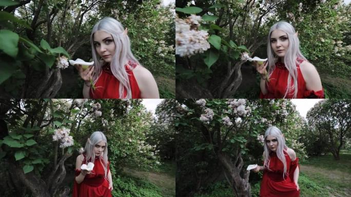 森林里穿着红色连衣裙的精灵女人。