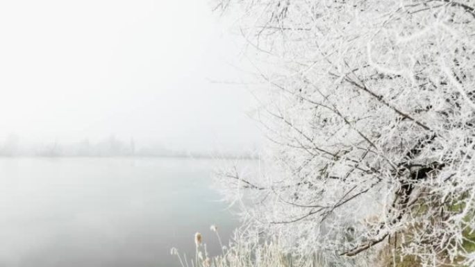 在一个雾蒙蒙的早晨，一条平静的蓝色河流结冰
