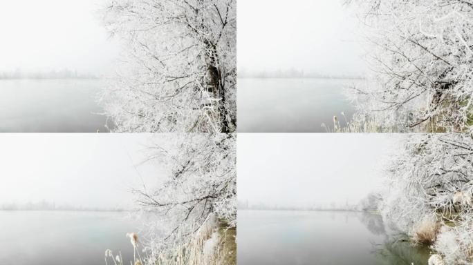 在一个雾蒙蒙的早晨，一条平静的蓝色河流结冰