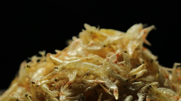 虾皮毛虾干制品食材食品海产品