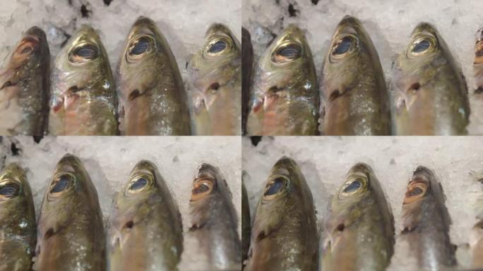 刚抓到的鱼放在架子上，上面撒了冰以保持新鲜。在冰上有大眼睛的鱼头特写。海鱼，为全家人准备美味丰盛的晚