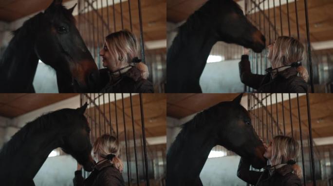 可爱的女人骑手在马厩里抚摸一匹马