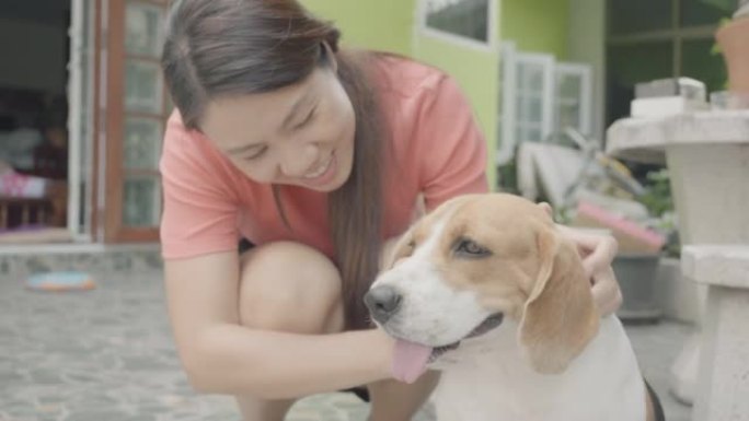 女人在户外和她的比格犬玩耍，并以一种款待来对待她的宠物。