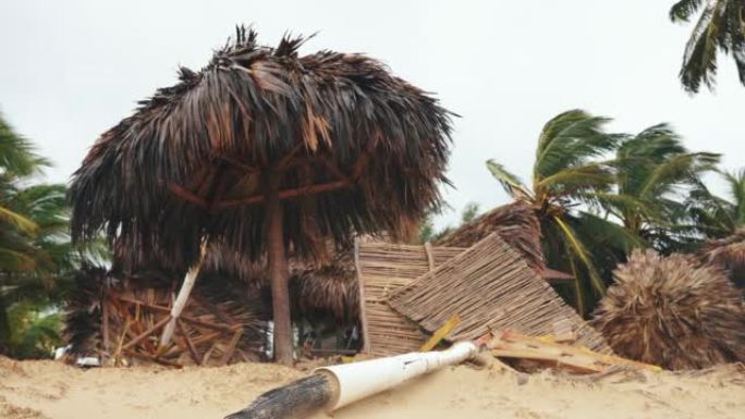暴风雨过后的热带海滩。由棕榈叶和无根椰子树制成的落伞。澳门台风过后的海滨