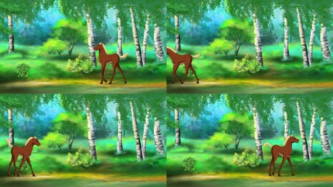 棕色小马驹在森林里散步