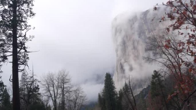 雾山，悬崖或陡峭的岩石，薄雾笼罩的秋天，加利福尼亚的峭壁或悬崖。