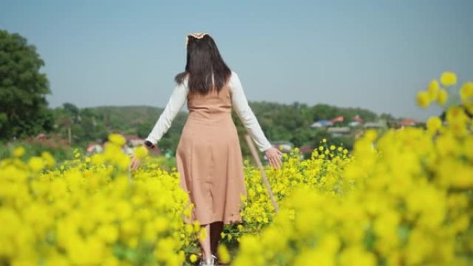 后视: 秋天的早晨，成年的亚洲妇女在黄色的菊花花场上快乐地行走。女人的手抚摸着花园里种的鲜花。有自然