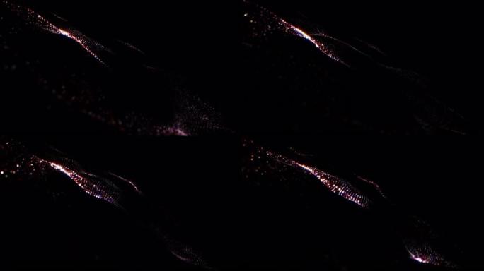 抽象循环彩色网格发光霓虹灯点粒子数字豪华闪亮波流黑色背景为科学技术背景。