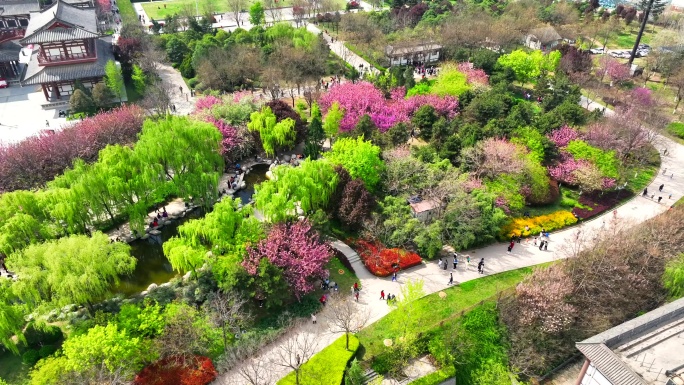 青龙寺航拍