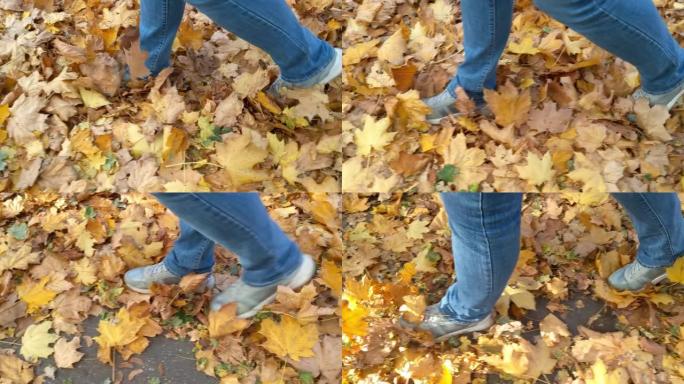 女孩穿过公园，落下了黄叶。脚在落叶上移动