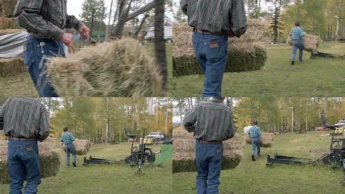十几岁的牧场主兄弟在美国科罗拉多州的一个小镇家庭拥有的牧场上，一起搬运成捆的干草来喂养他的牲畜群