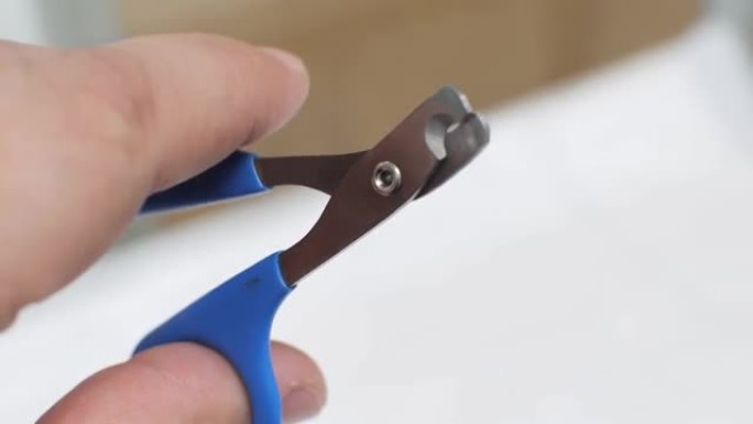 剪刀上的特写，用于修剪宠物爪子上的爪子。一个人握着手，打开和关闭剪刀，展示了他们的工作原理。