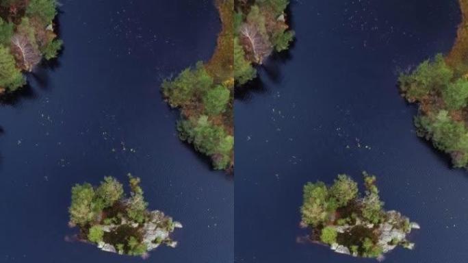 树木，湖泊和一个秋天的小岛的垂直无人机视频。