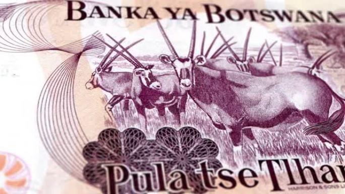 博茨瓦纳博茨瓦纳普拉5纸币，五博茨瓦纳普拉，博茨瓦纳普拉的特写和宏观视图，跟踪和多莉拍摄5博茨瓦纳普