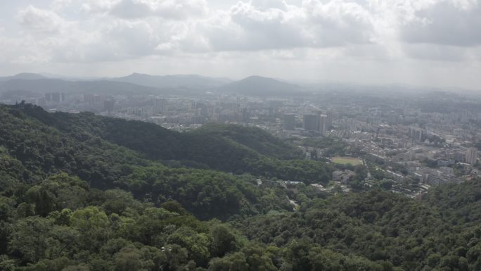 广东省广州白云山航拍茂盛树林森林