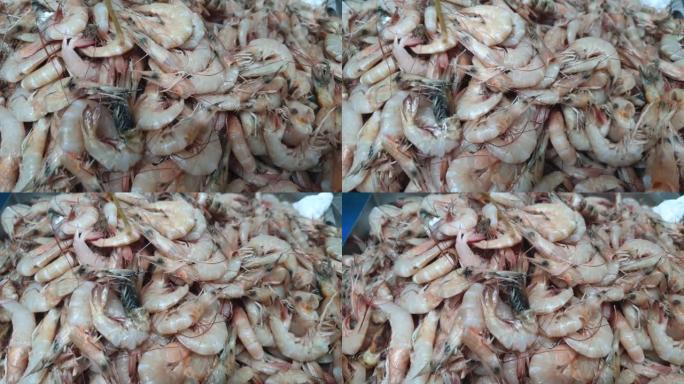 新鲜海虾