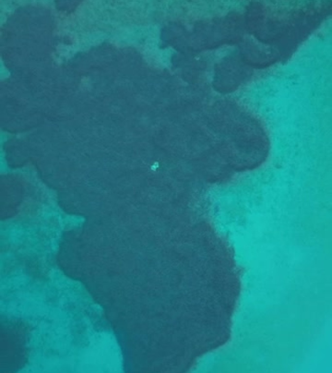 绿松石海水下珊瑚礁上升的无人机镜头