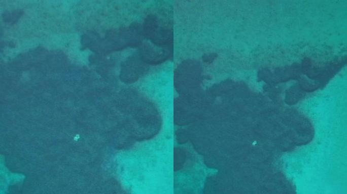 绿松石海水下珊瑚礁上升的无人机镜头