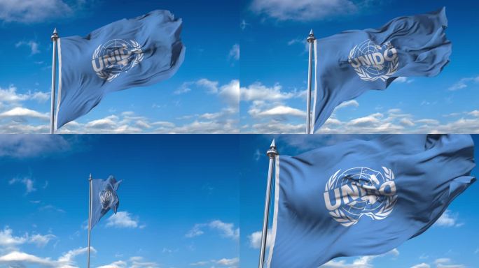 联合国工业发展组织旗帜_1