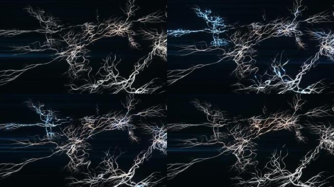 激发神经元的动画