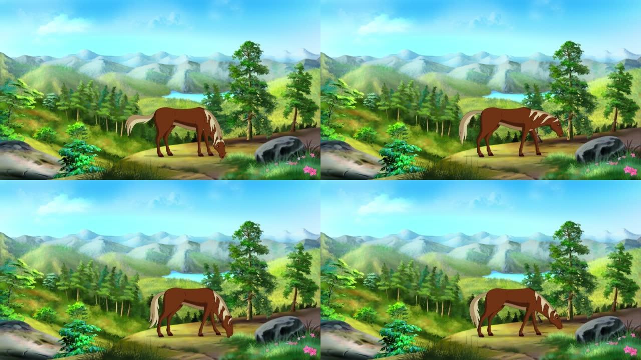 棕色的马在山上吃草