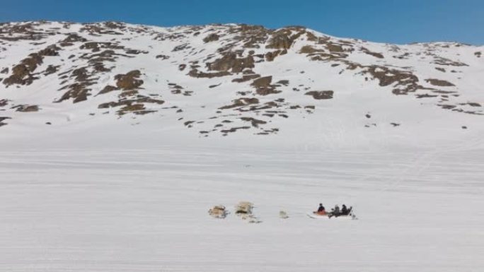 雪橇犬在雪地上拉雪橇
